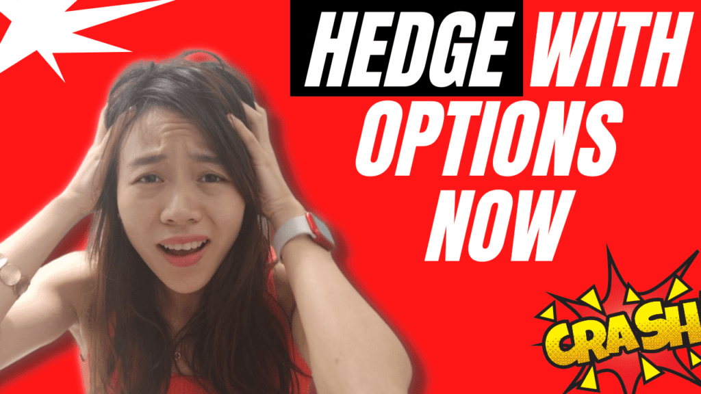 Options Hedge Strategies cover
